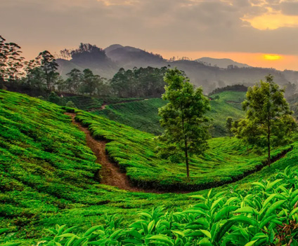 Ground Handling Services